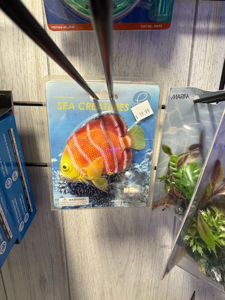 Sea Creatures Glowing Effect artificial fish aquarium decoration (orange/red tropical fish figurine with LED glow) at Sea Cave Inc.