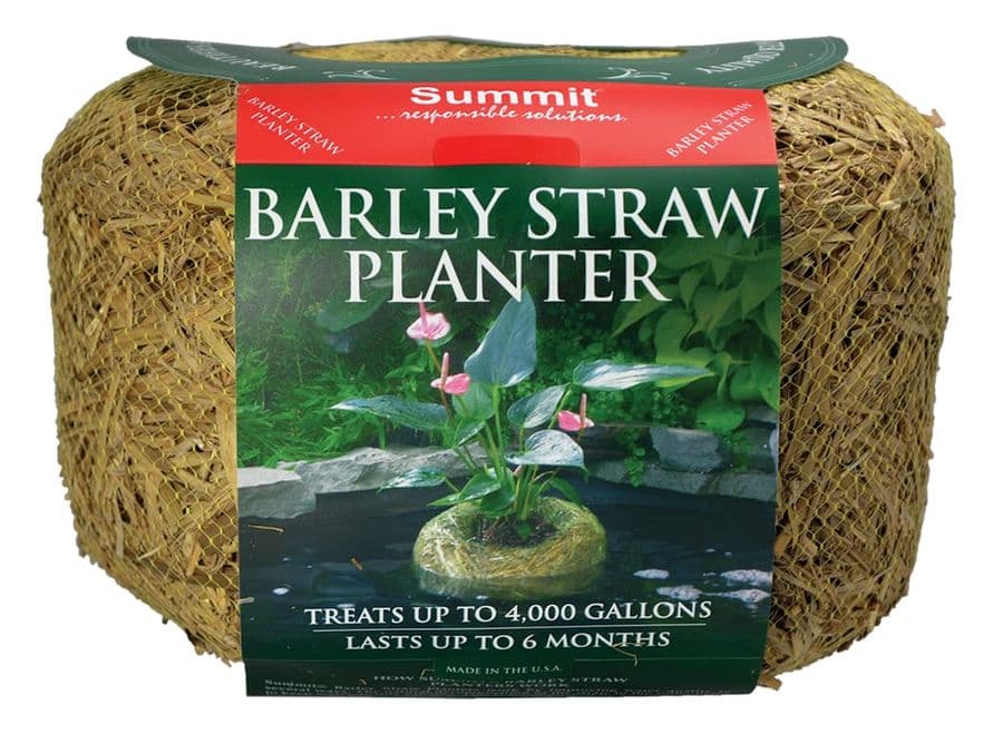Summit Barley Straw Planter at Sea Cave Inc.