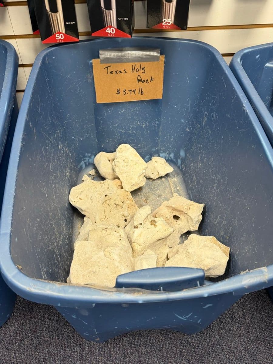 Texas Holey Rock — Aquarium Limestone / Cichlid Rock (sold by the pound) at Sea Cave Inc.