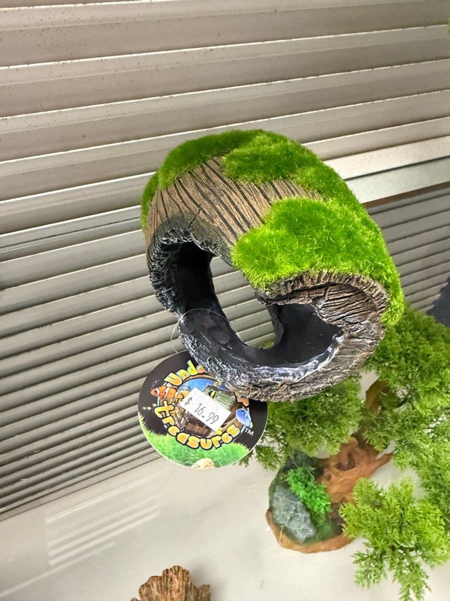 Underwater Treasures Moss Hollow Log Ornament at Sea Cave Inc.