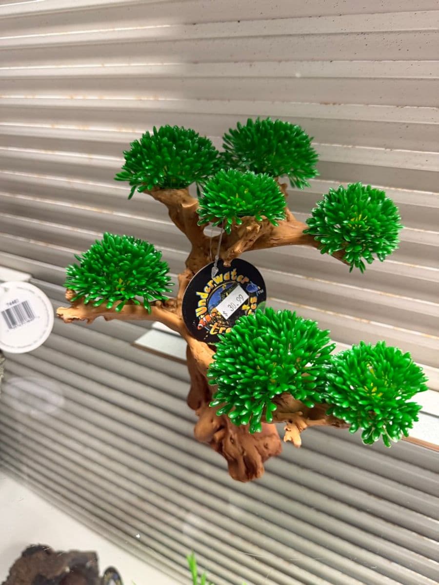Underwater Treasures artificial bonsai tree aquarium decoration at Sea Cave Inc.