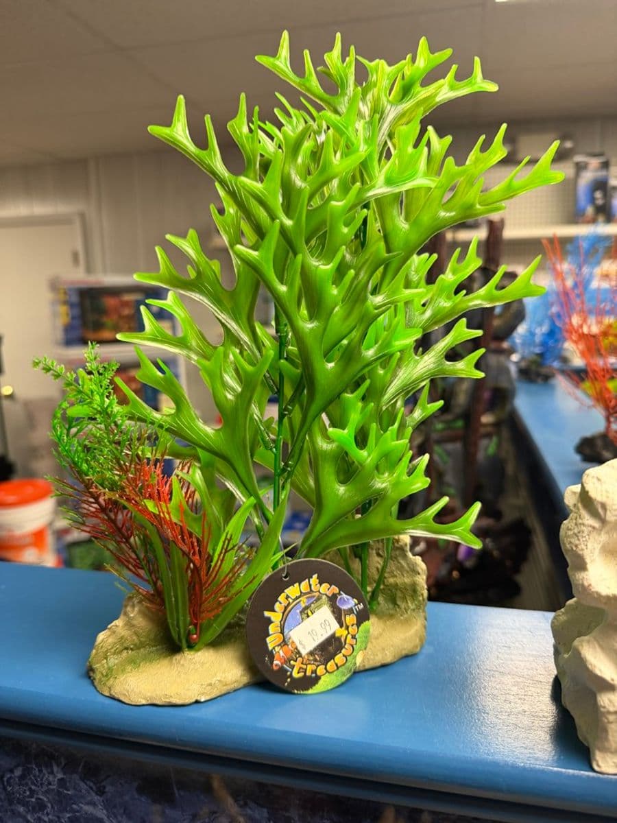 Underwater Creations Sea Kelp Plant (Large) at Sea Cave Inc.