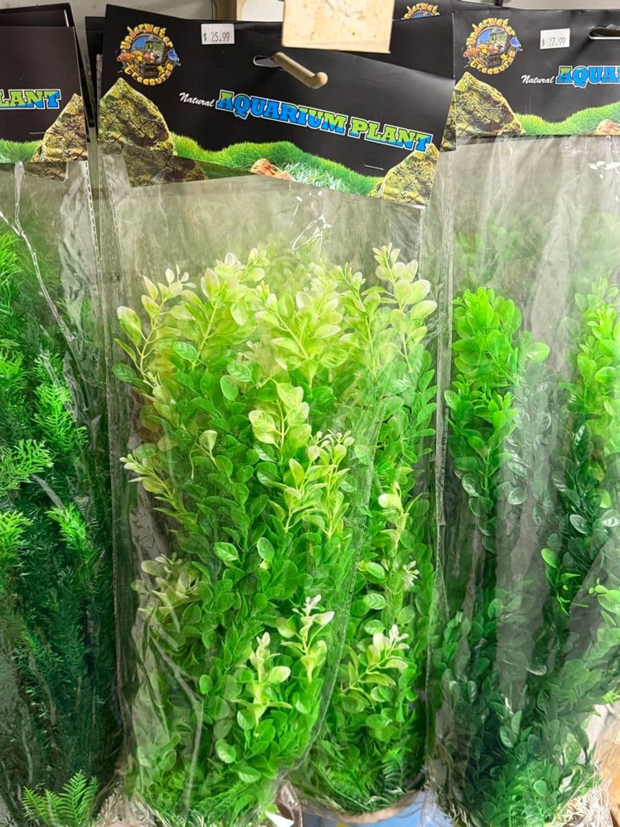 Underwater Treasures Artificial Plant (Large) at Sea Cave Inc.