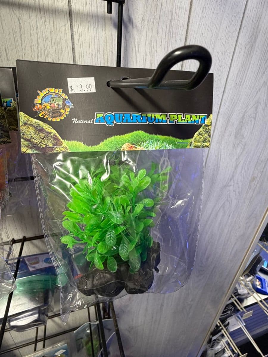Underwater Treasures Artificial Plant (Small) at Sea Cave Inc.