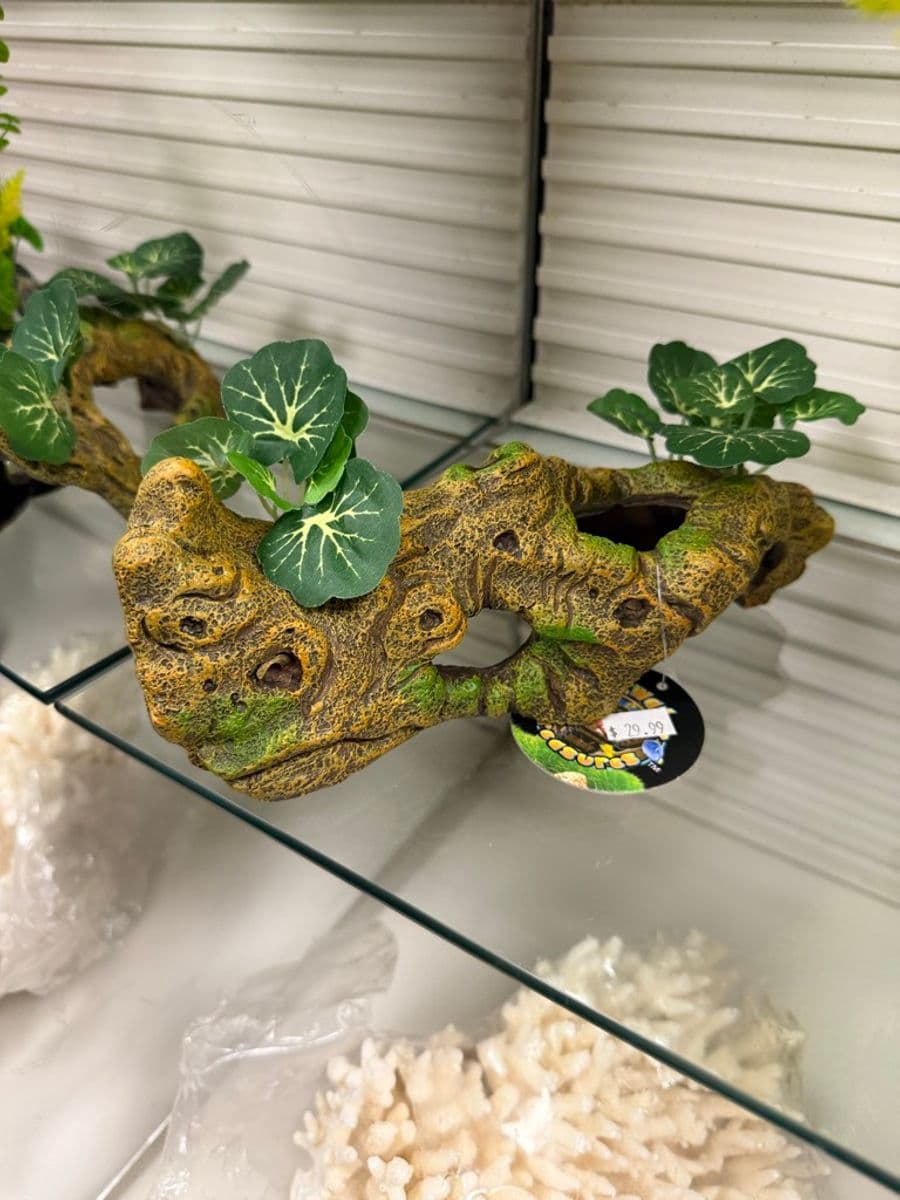 Underwater Treasures Resin Cave w/ Plants (Large) at Sea Cave Inc.