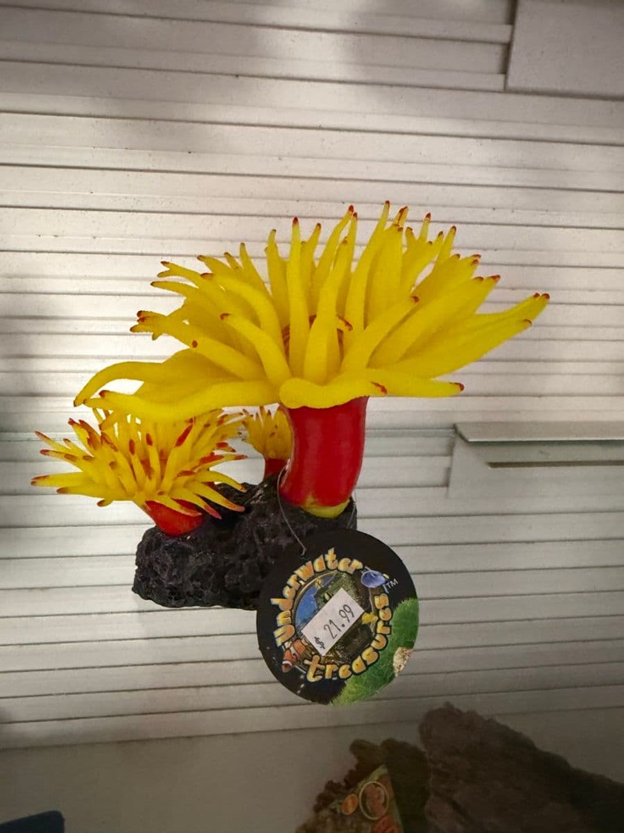 Underwater Treasures Anemone Decoration Yellow/Red at Sea Cave Inc.