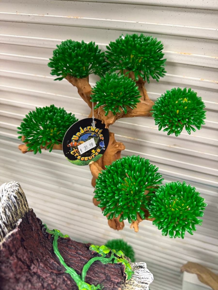Underwater Treasures Bonsai Tree Decor at Sea Cave Inc.
