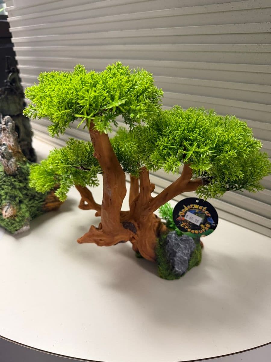 Underwater Treasures Bonsai Tree w/ Rock Base at Sea Cave Inc.