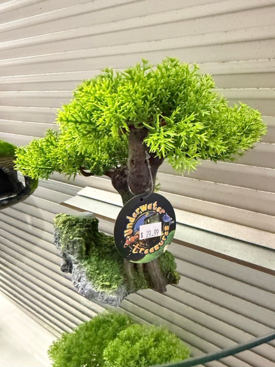 Underwater Treasures Bonsai Tree Ornament — Full Canopy at Sea Cave Inc.