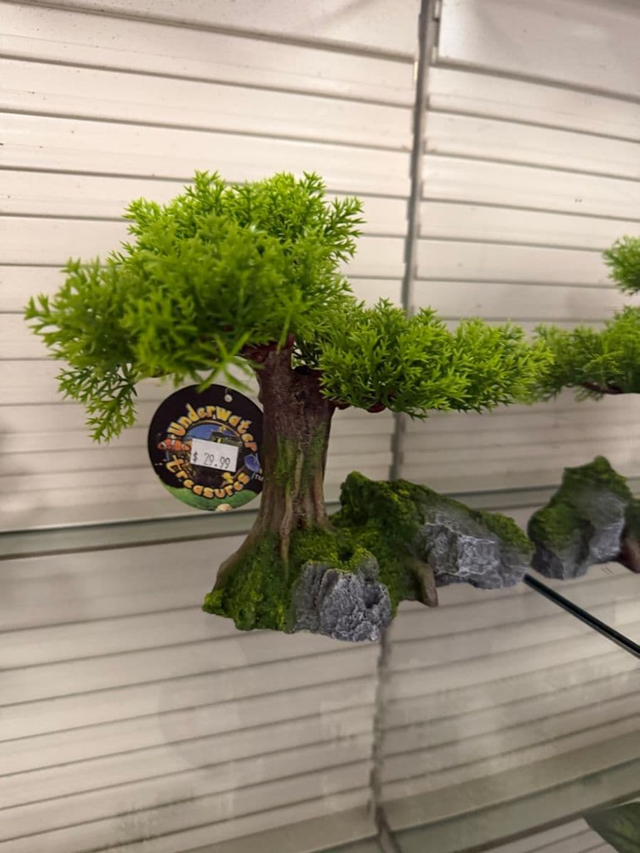 Underwater Treasures Bonsai Tree on Rock Base at Sea Cave Inc.