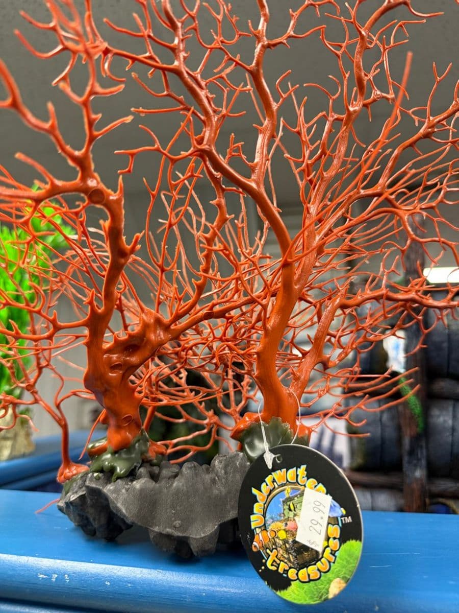 Underwater Treasures Red Sea Fan Ornament at Sea Cave Inc.