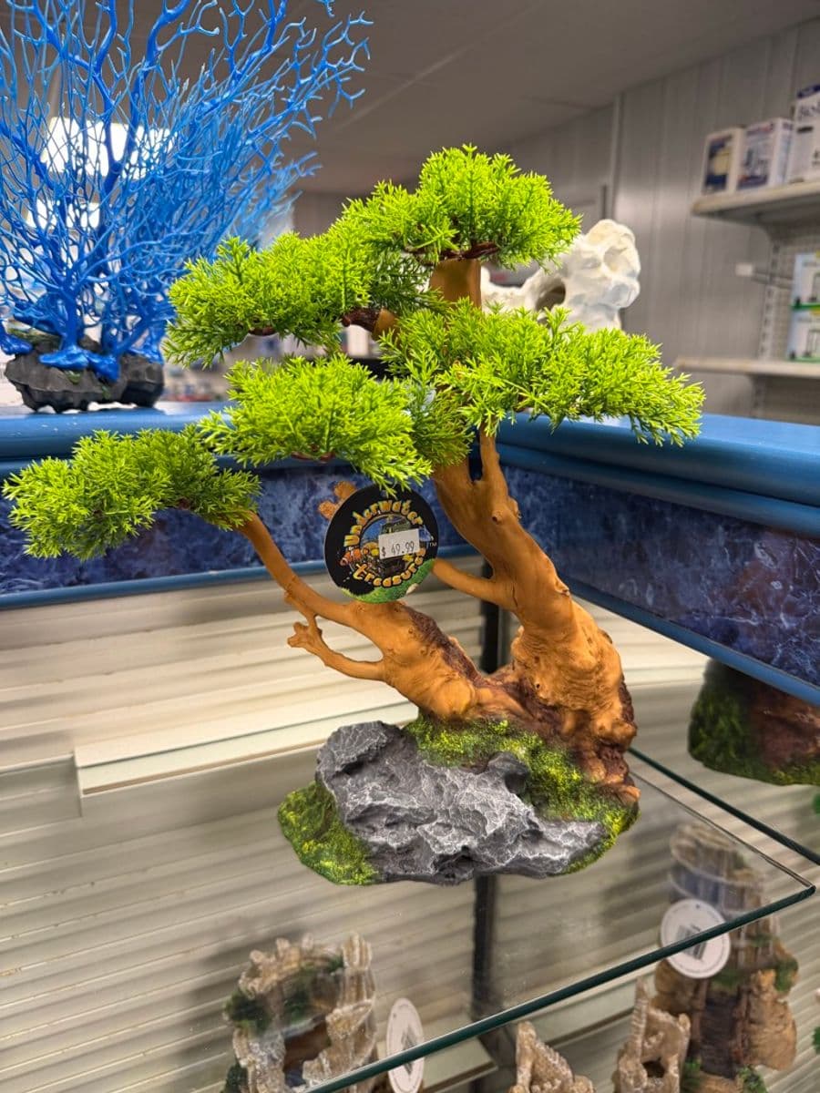 Underwater Treasures Bonsai Tree Ornament — Twisted Trunk at Sea Cave Inc.