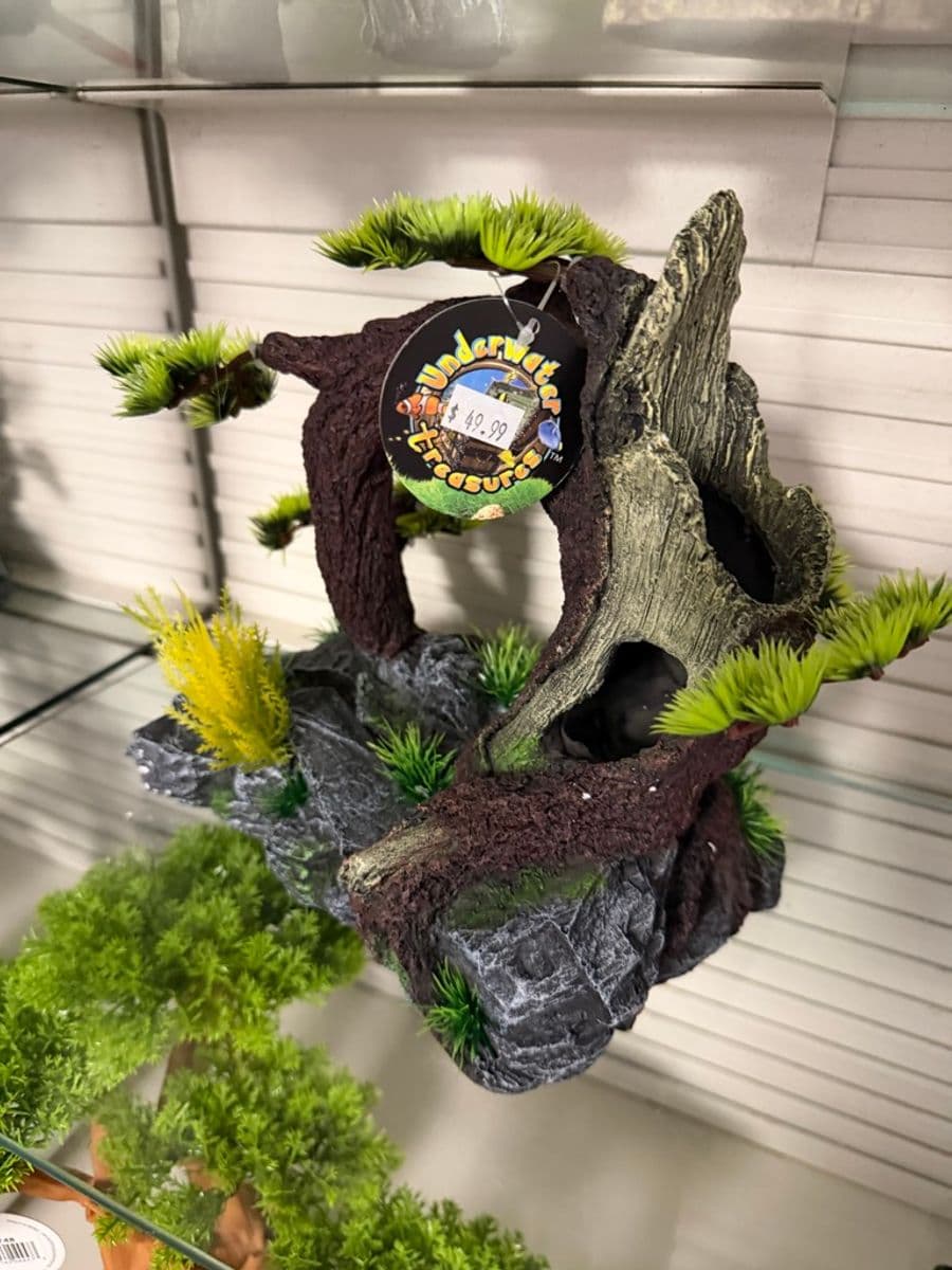 Underwater Treasures Driftwood Arch Ornament at Sea Cave Inc.