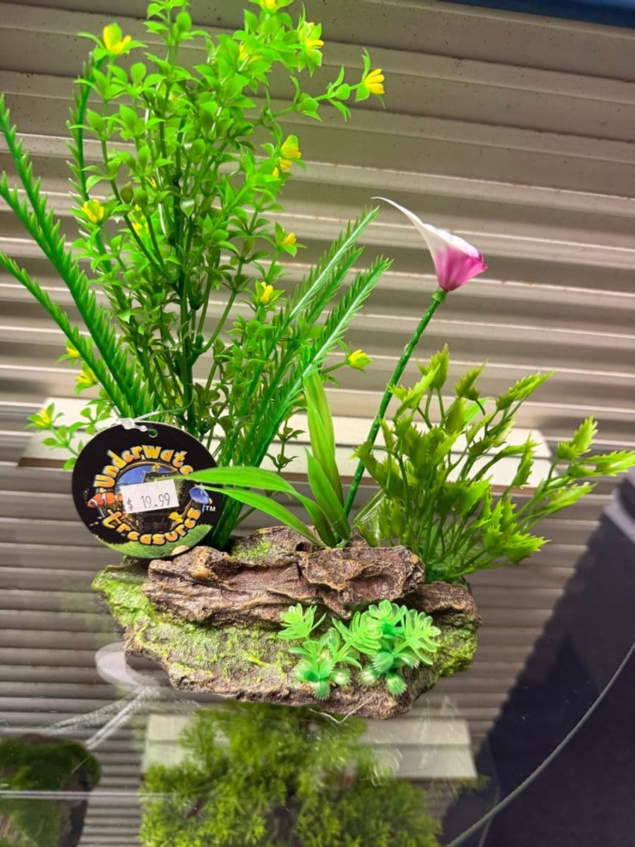 Underwater Treasures multi-plant artificial aquarium decoration on resin rock/driftwood base at Sea Cave Inc.