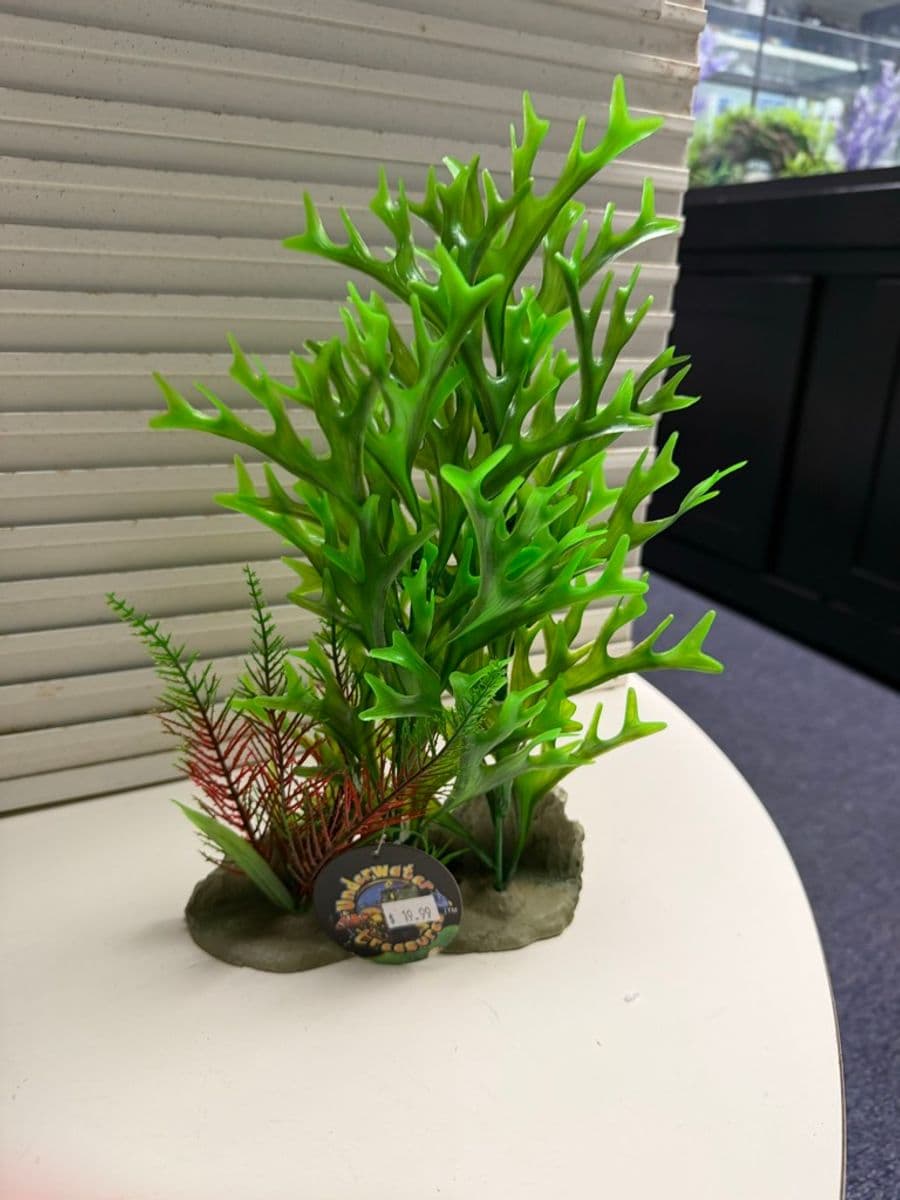 Underwater Treasures Multi-Plant Decor w/ Rock at Sea Cave Inc.