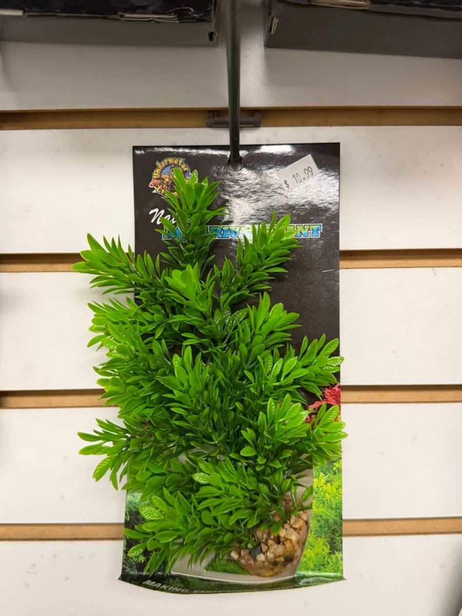 Underwater Treasures Bushy Plant Ornament at Sea Cave Inc.