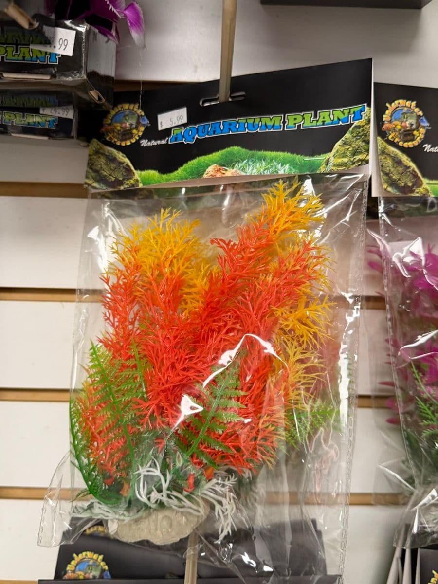 Underwater Treasures Artificial Plant Multicolor at Sea Cave Inc.