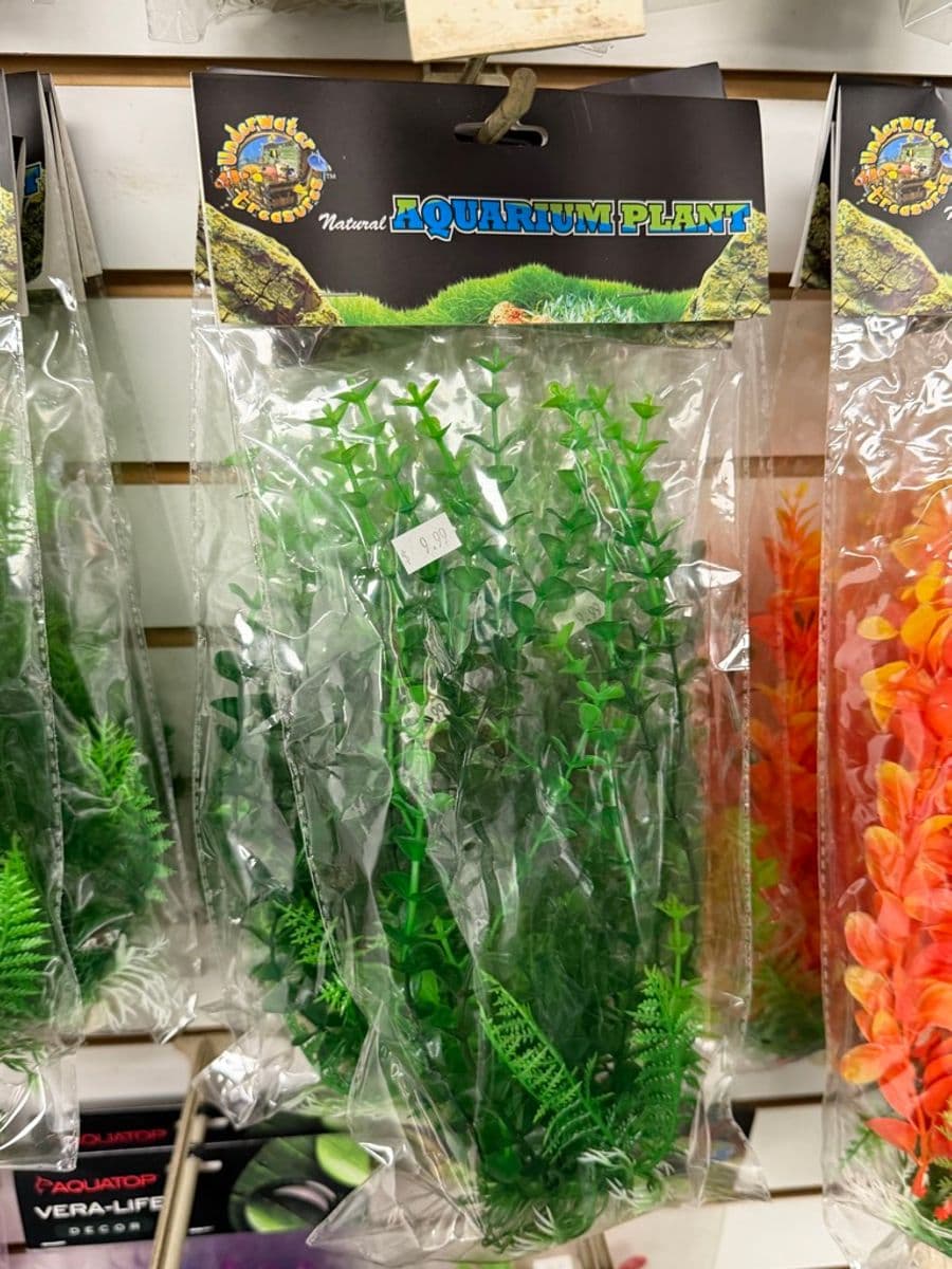 Underwater Treasures Stem Plant Green (Large) at Sea Cave Inc.