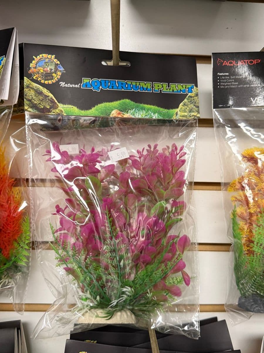 Underwater Treasures Artificial Plant Pink/Green at Sea Cave Inc.
