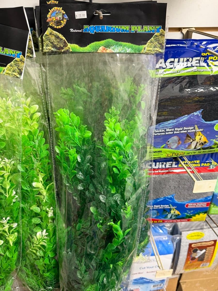 Underwater Treasures Artificial Plant (Tall) at Sea Cave Inc.