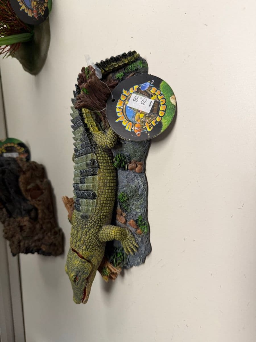 Underwater Treasures resin lizard/iguana aquarium ornament on rock base at Sea Cave Inc.