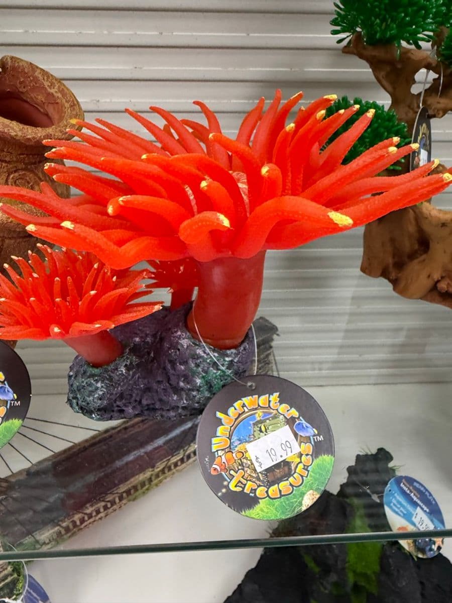 Underwater Treasures Silicone Anemone Orange/Red at Sea Cave Inc.