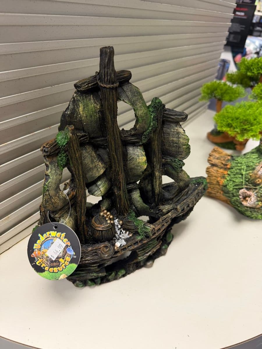 Underwater Treasures Sunken Pirate Ship at Sea Cave Inc.