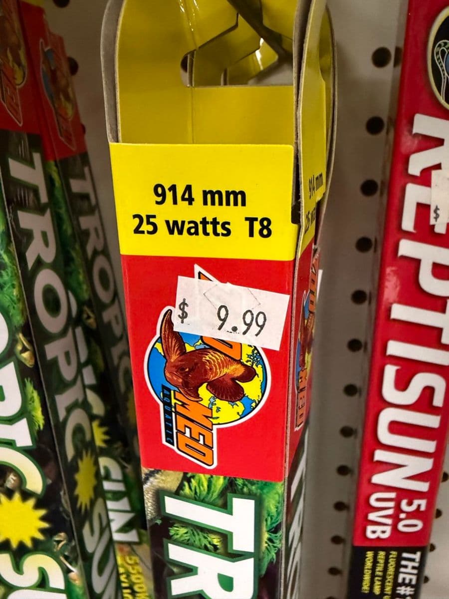 Zoo Med Aquatic Tropical T8 Fluorescent Bulb 914mm 25W at Sea Cave Inc.