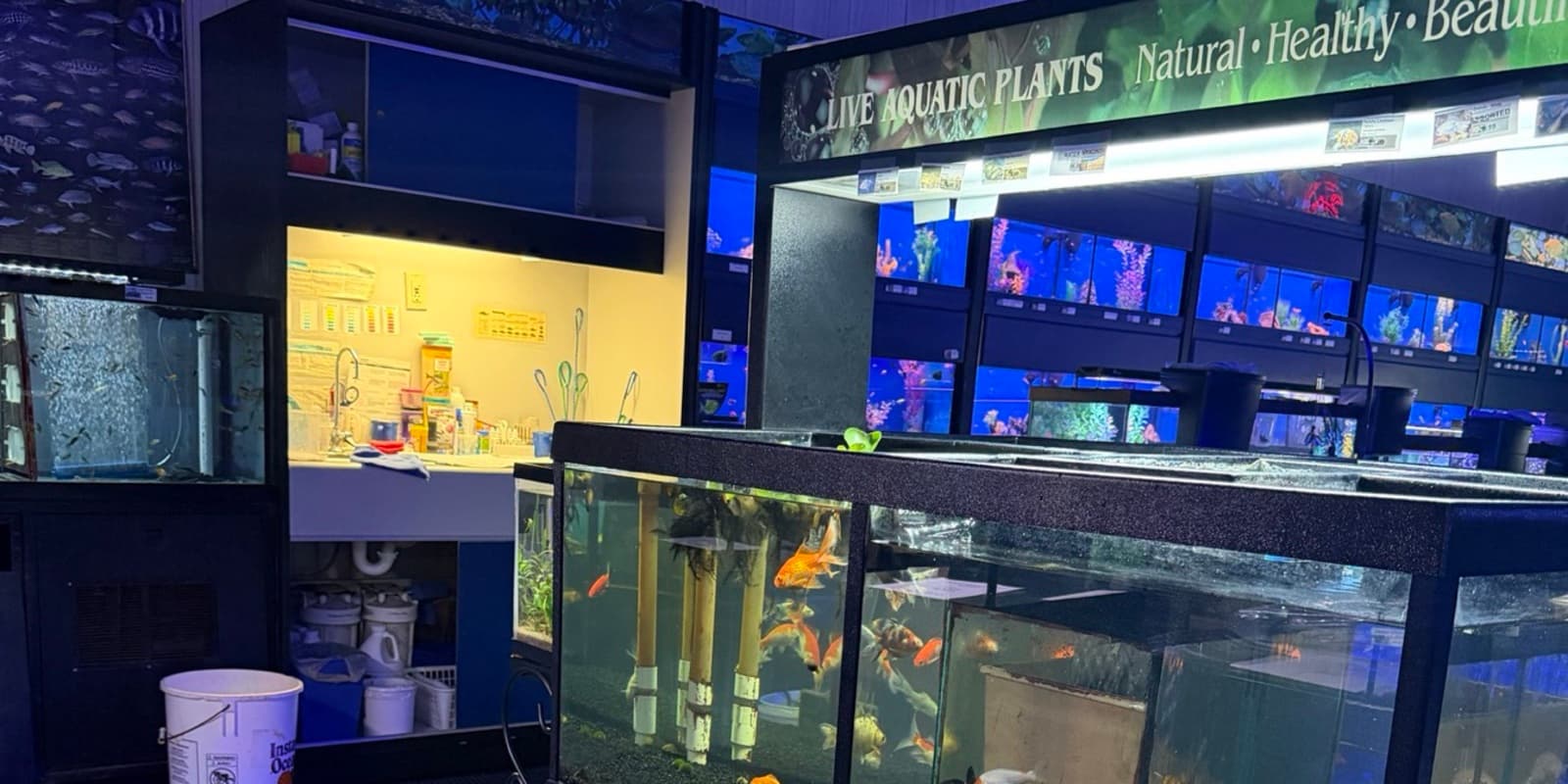 The freshwater and live-plant section at Sea Cave in Erie, PA