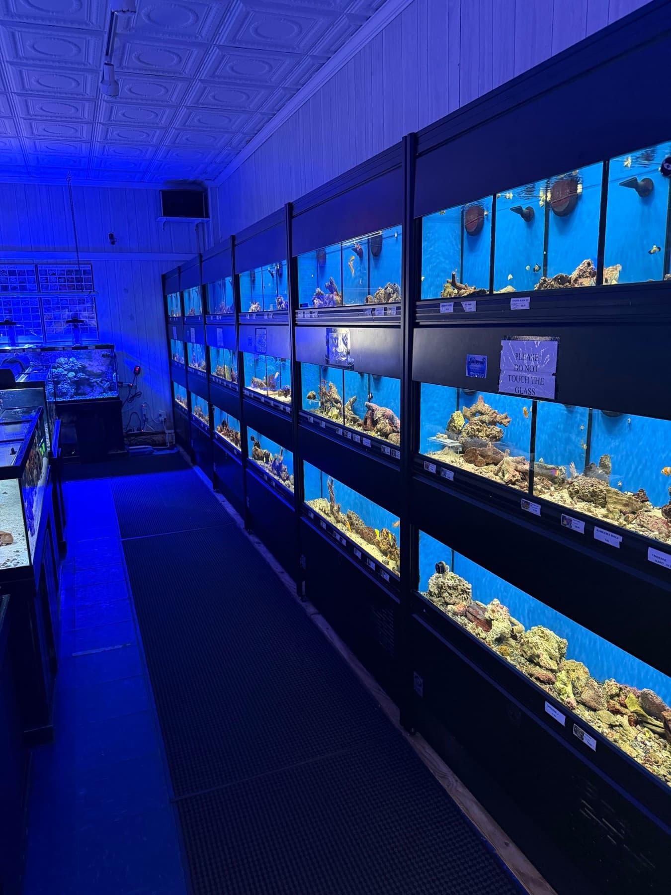 Rows of freshwater display aquariums at Sea Cave in Erie, PA