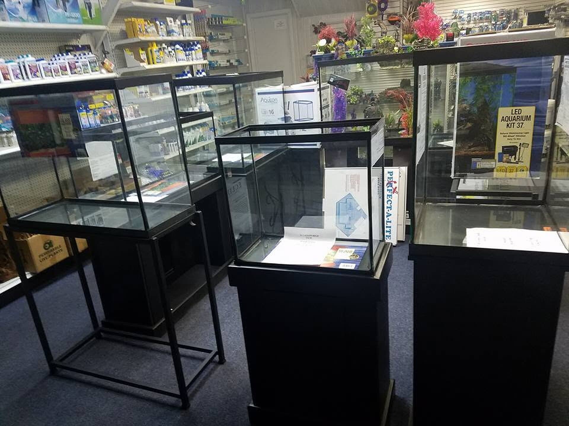 Glass aquariums on stands and boxed starter kits on the floor at Sea Cave's Erie shop