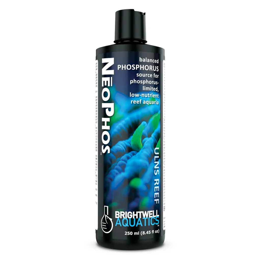 Brightwell Aquatics NeoPhos Balanced Phosphorus Source 500ml (ULNS Reef) at Sea Cave Inc.